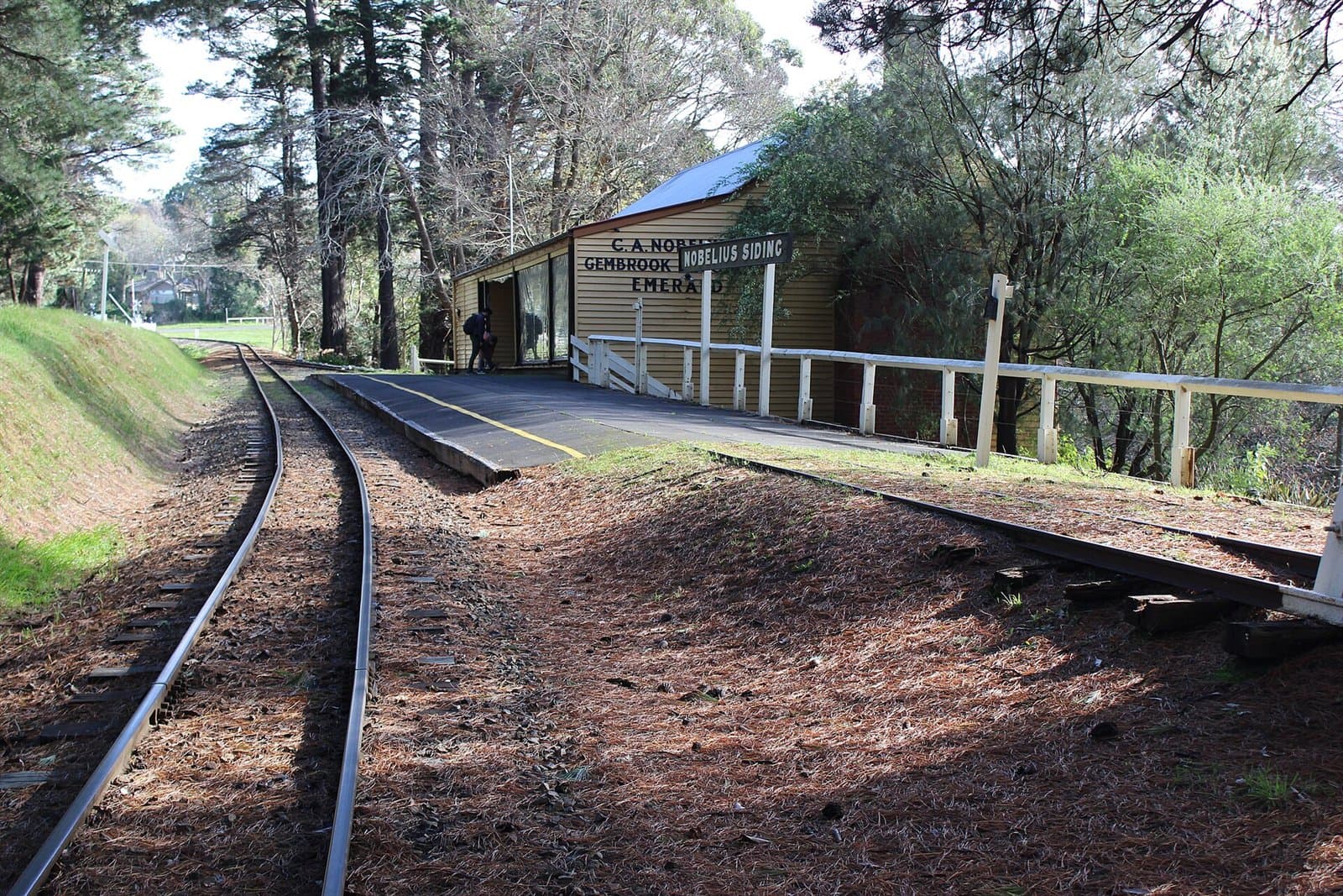 A narrow-gauge line curving past a timber platform and shelter among trees