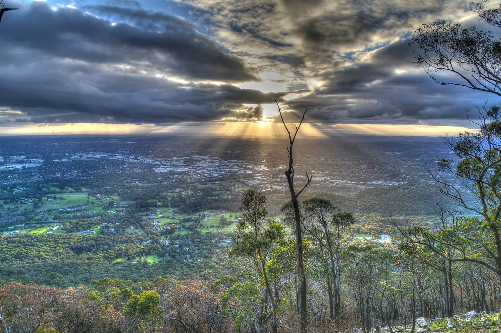 Looking west from a lookout on Mount Dandenong over treetops to the plains, under broken cloud