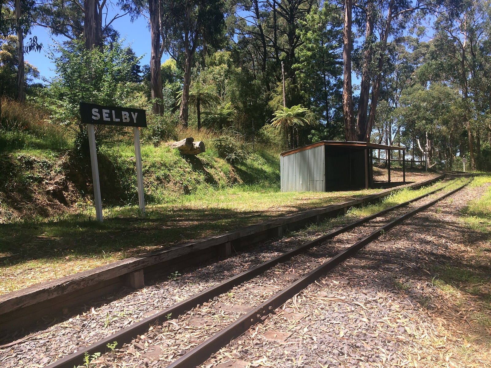 A narrow-gauge railway line beside a station sign and a small shelter in the bush