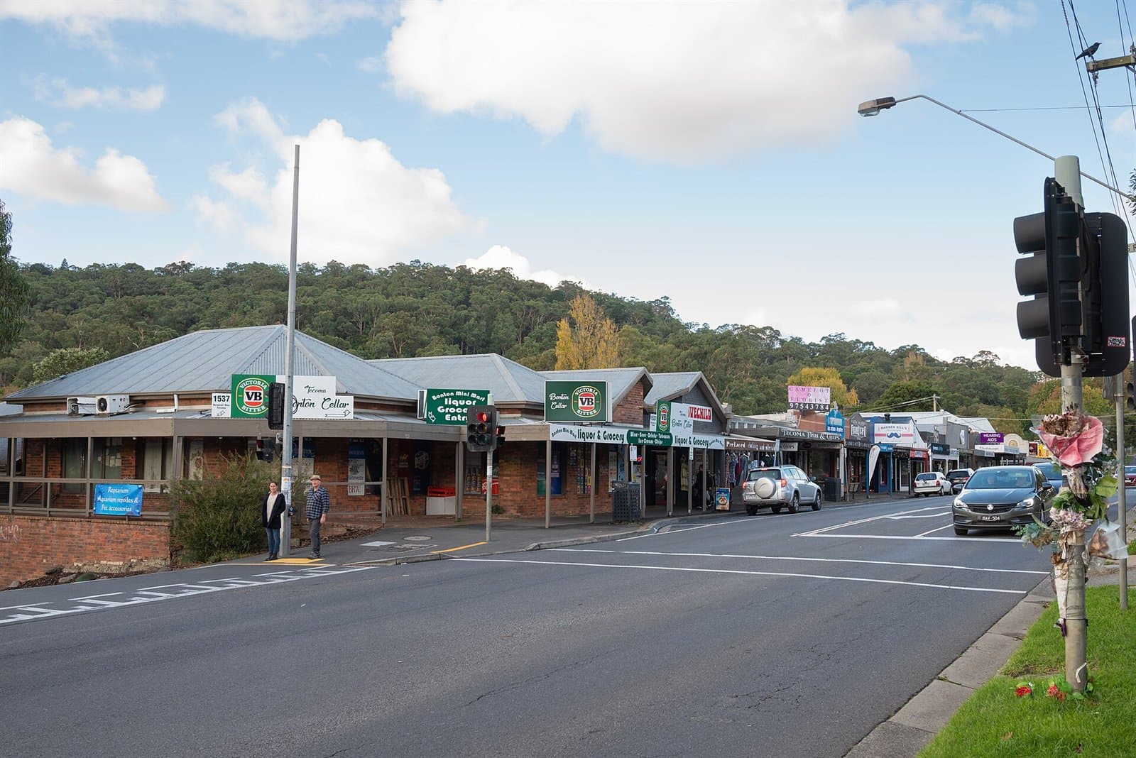 A row of shops along the Burwood Highway in Tecoma, with treed hills behind